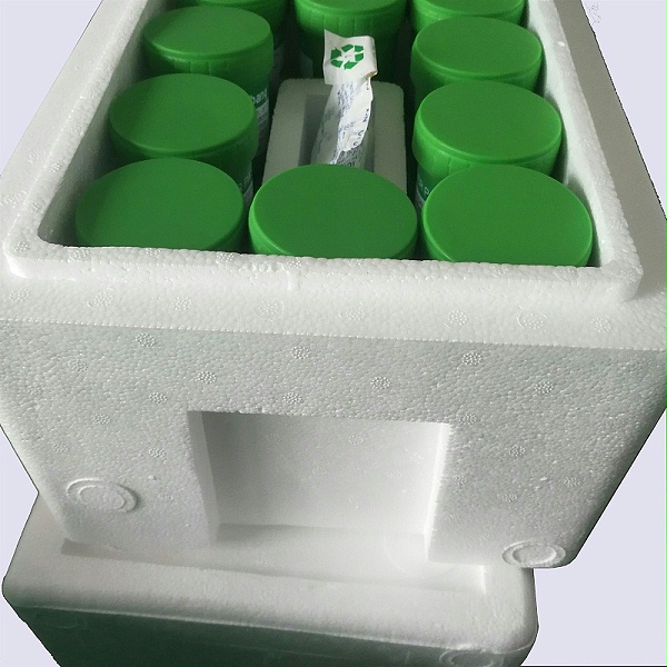 Lead-free solder paste